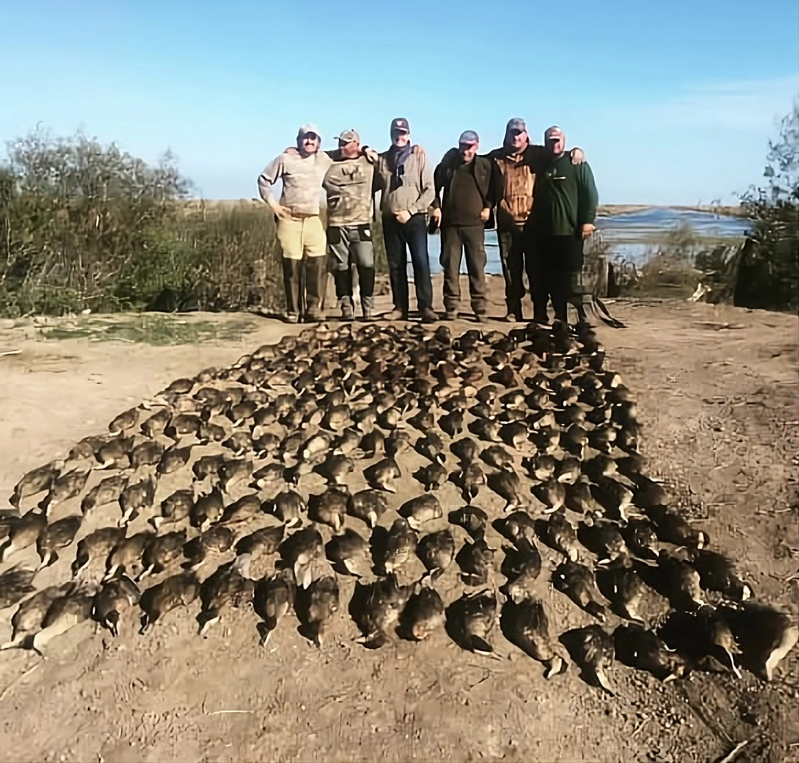 Grupo de cazadores junto a los patos cazados al cierre de la jornada